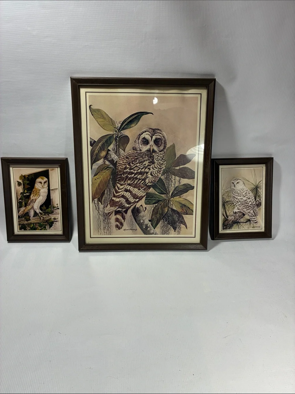Vintage Leland Brewsaugh Framed Owl Prints Set of 3 Coottagecore Home Decor